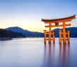 Frühbucheraktion: Sichern Sie sich jetzt Ihren Termin für Japan (Foto: AdobeStock - eyetronic 78473506)
