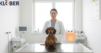Steigende Tierarztkosten belasten Hundebesitzer - Hundekrankenversicherung schützt vor finanziellen (Foto: KI-generiert via deevid.ai)