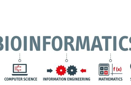 FaBI schreibt erneut Dissertationspreis für exzellente herausragende Bioinformatik-Arbeiten (Foto: AdobeStock - Trueffelpix - 404800631)